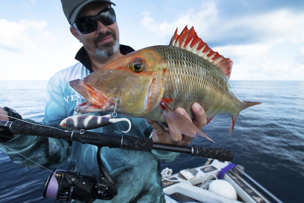 Live Fibre Blade N Tails Rod