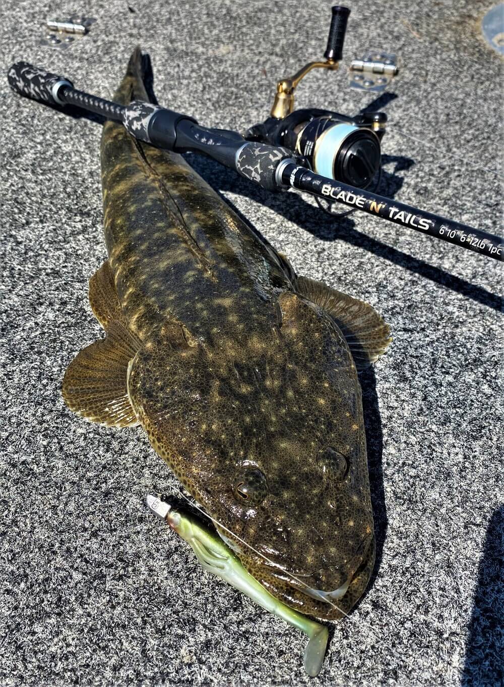 Live Fibre Blade N Tails Rod