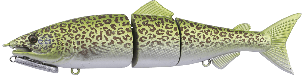 Realistic Murray Cod