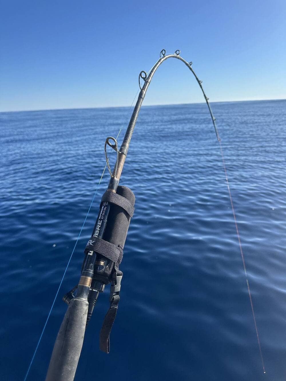 Wilson Live Fibre Electric Assist Overhead Fishing Rod