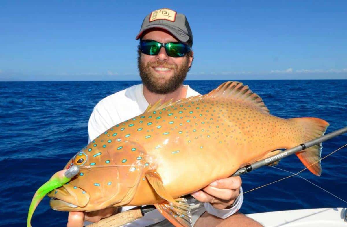 TT Headlockz HD Jig Heads