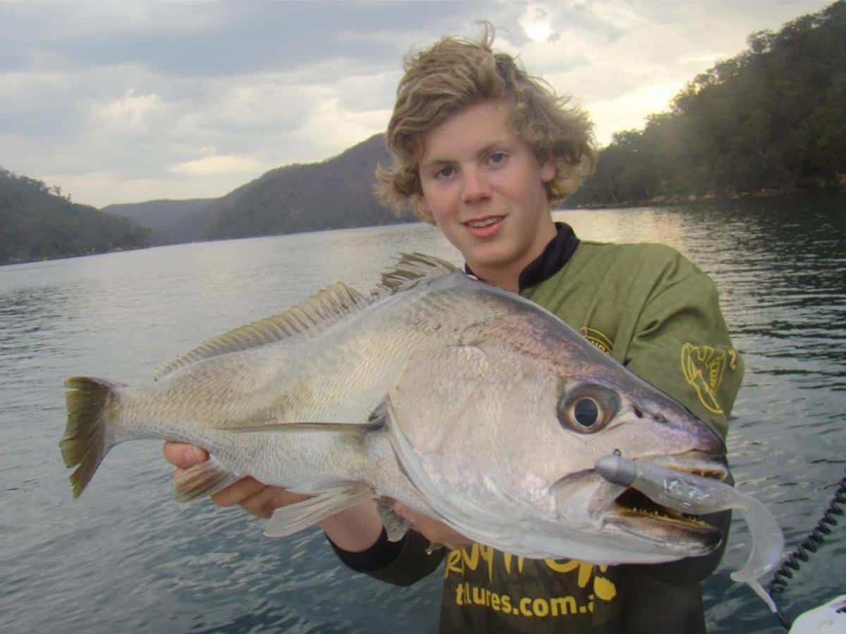 TT Tournament Series Jig Heads