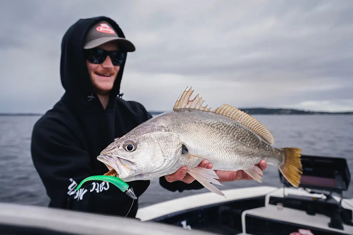 Berkley Gulp Zagger 2.5in Soft Plastic