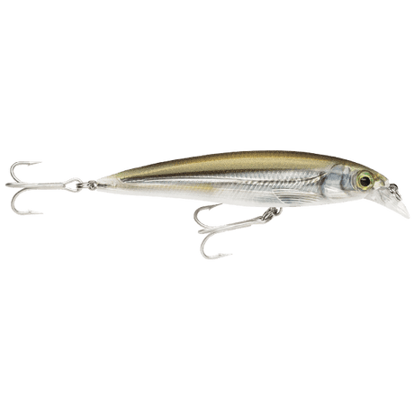 Rapala Saltwater X-RAP 10cm