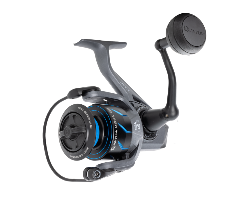 Quantum Merit Spin Reel