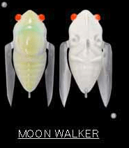 Megabass Siglett 36.5mm Cicada