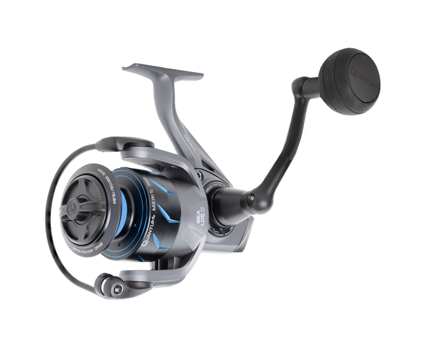 Quantum Merit Spin Reel