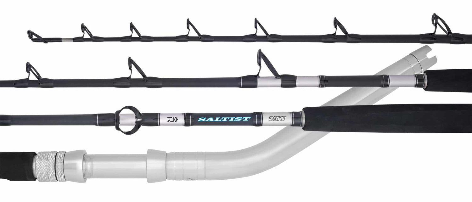Daiwa Saltist Dendoh Rod