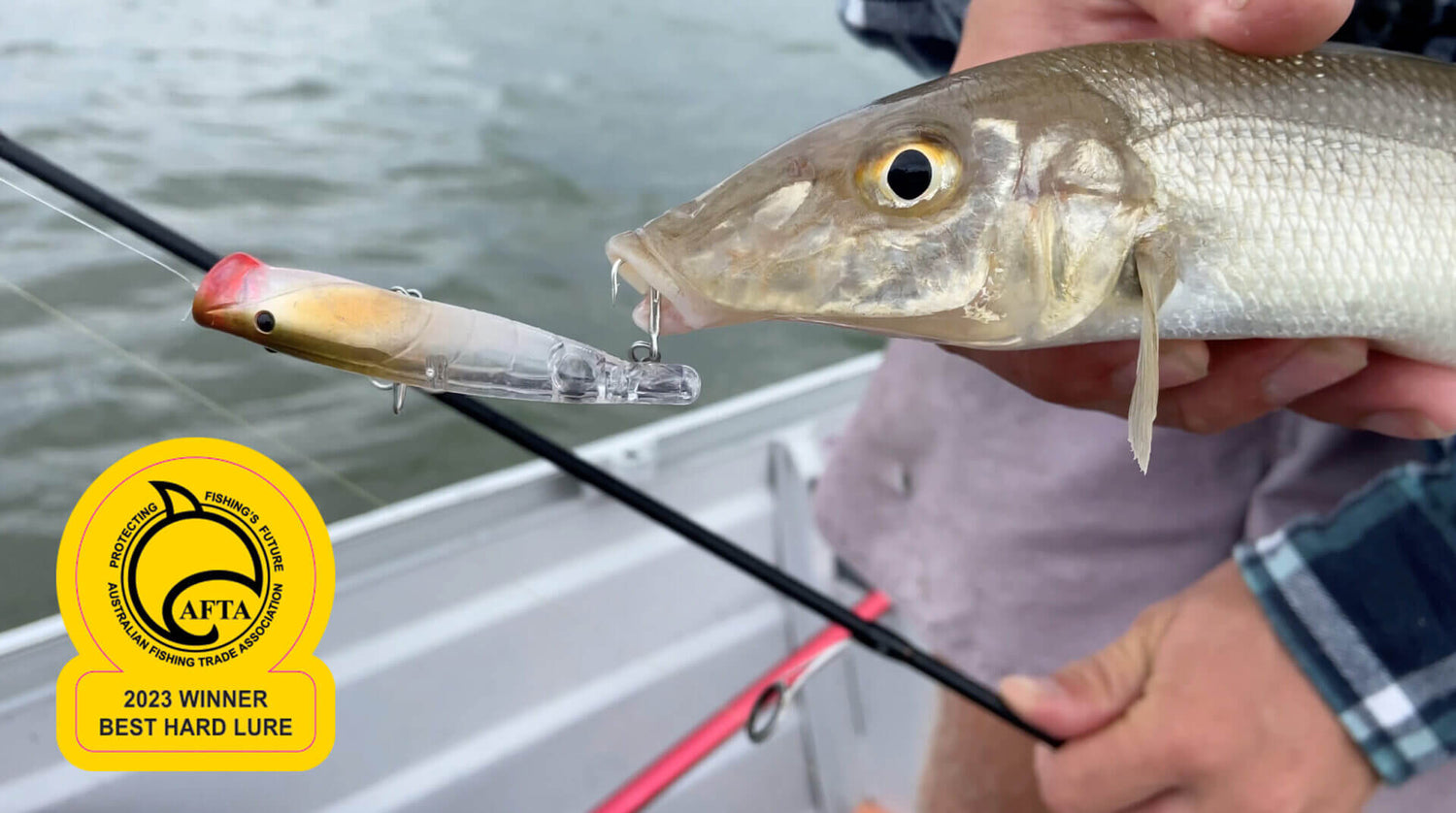 Bassday Sugapen Splash