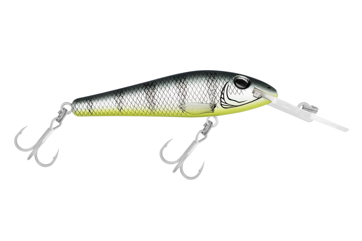 Halco T-Barra 80mm Diving Lure