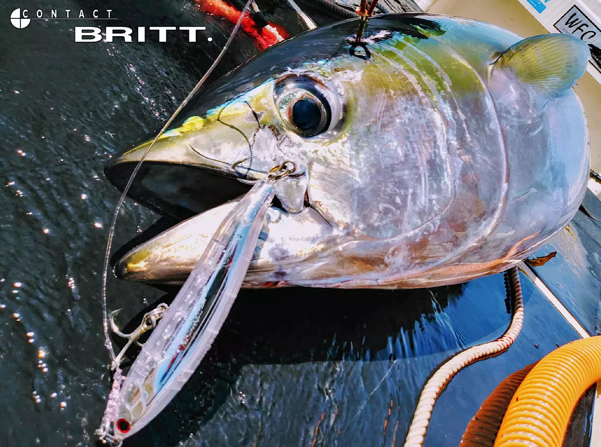 Tackle House Contact Britt Pencil 120mm