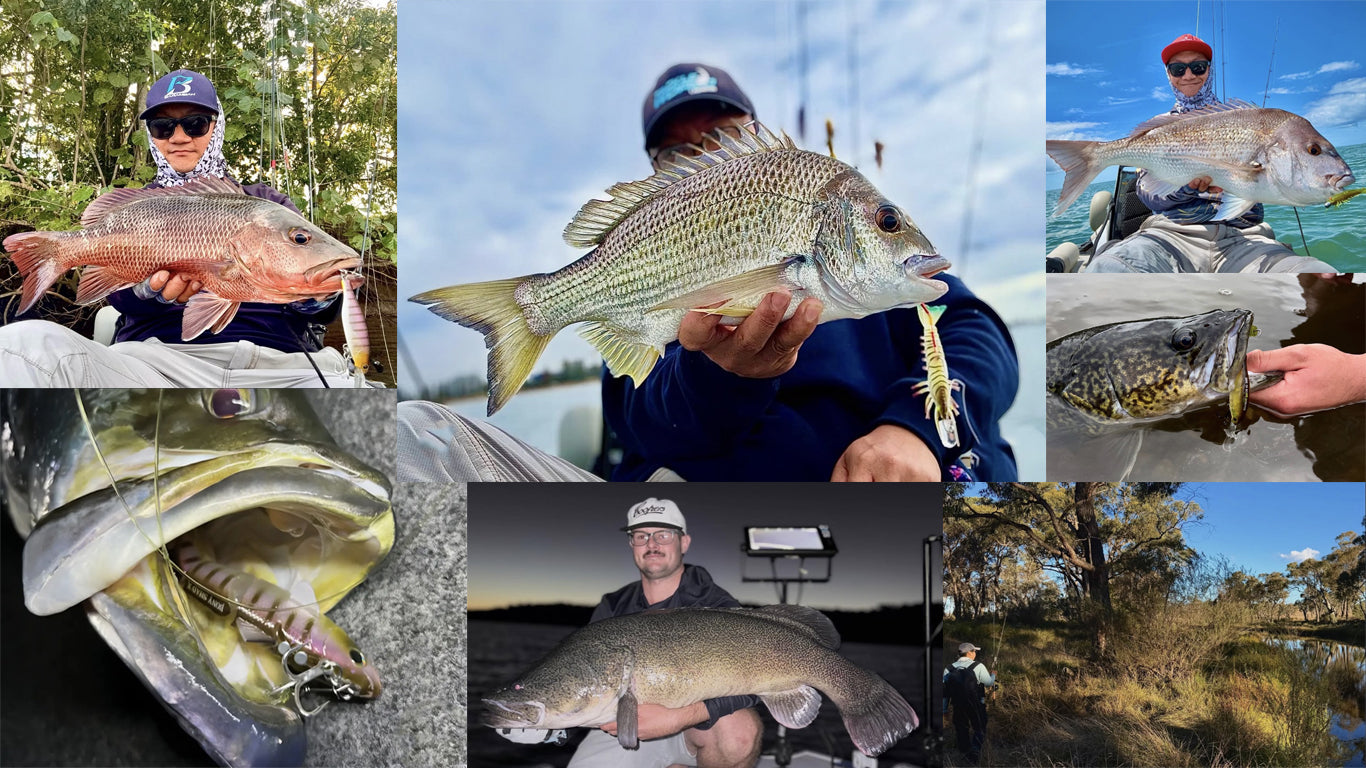 Barambah Lures