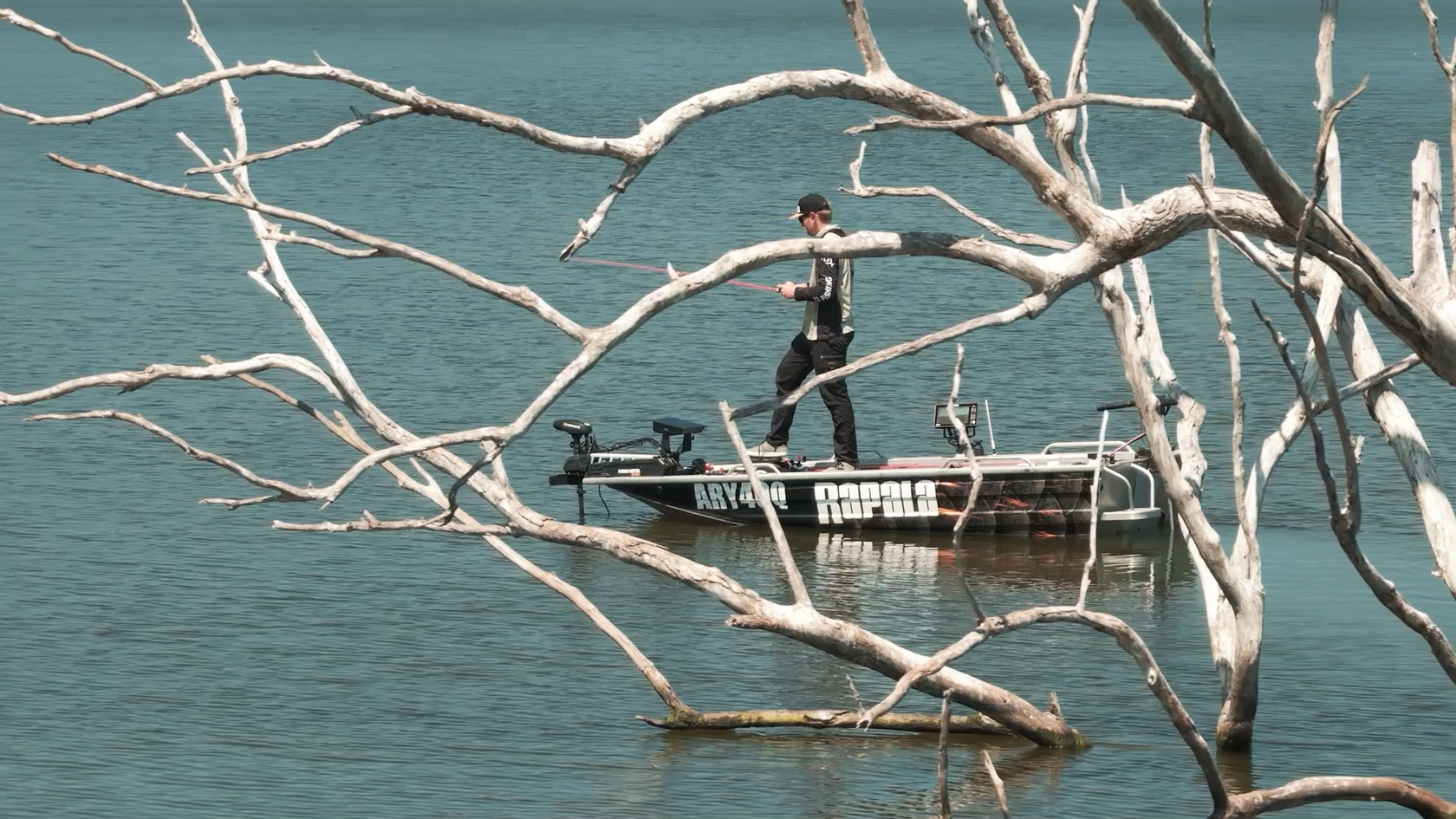 Rapala