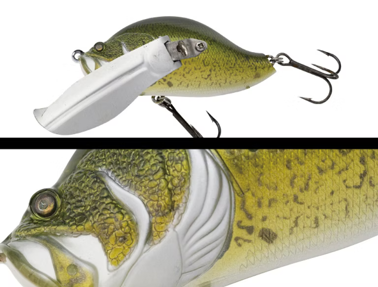 Adusta Zacrawl JR 65mm 19g Topwater Lure