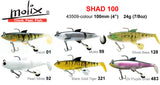 Molix Shad 100mm Rigged Plastic