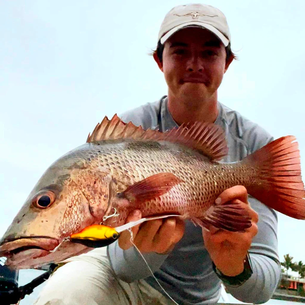 Barambah Deton8or 58M Hardbody