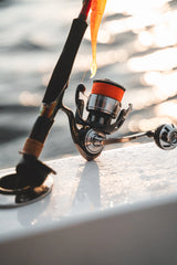 Daiwa 24 Certate LT Reel