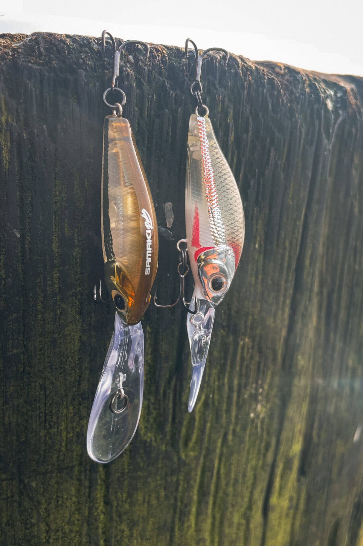 Samaki Redic DS40LC Jerkbait