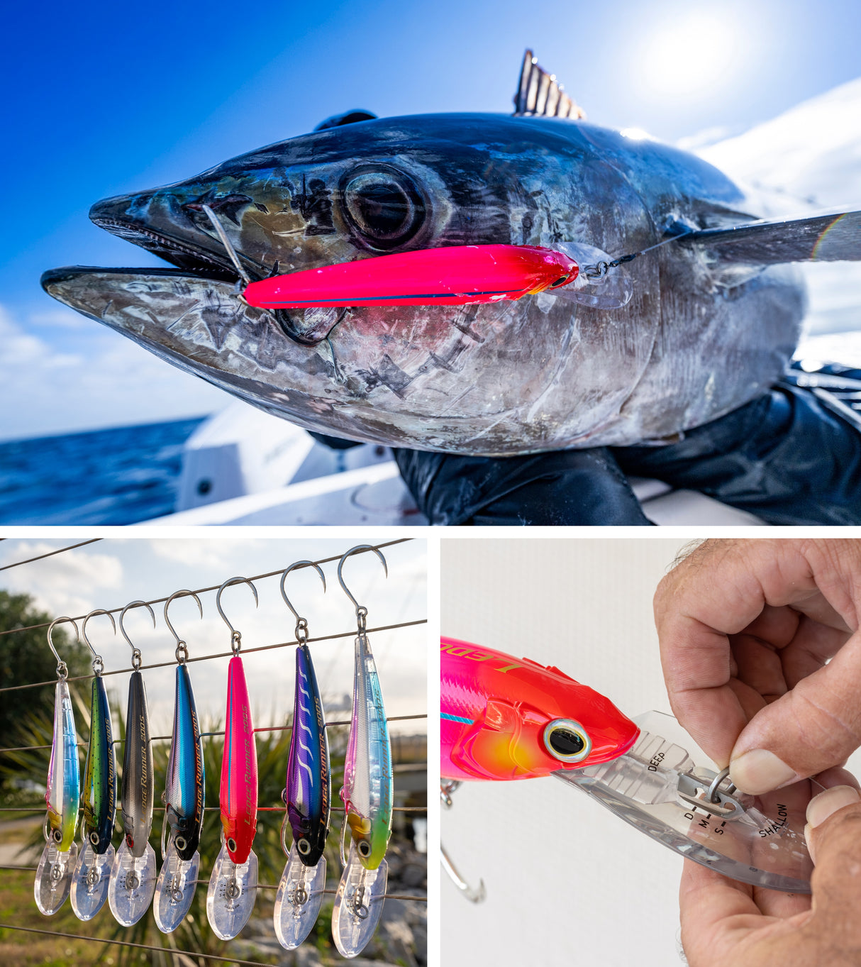 Shimano Ledge Runner 200S Lure
