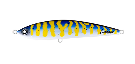 Daiwa Saltiga Cuddler 200f Lure