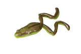 GREEN PUMPKIN CHART FROG