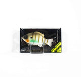 119 Muddy Water Gill