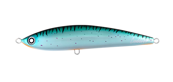 Daiwa Saltiga Cuddler 200f Lure