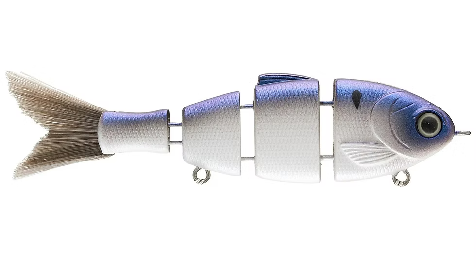 Bucca Lil Baby Bull Shad 2.5in Swimbait