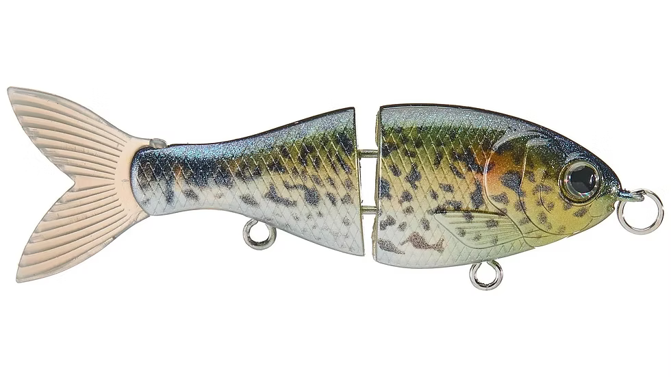 Bucca 2.5in BFS Trick Shad