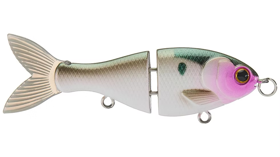 Bucca 2.5in BFS Trick Shad