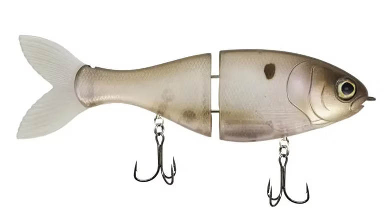 Bucca Trick Shad 4in Lure