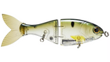 Bucca Trick Shad 4in Lure