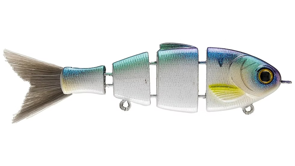 Bucca Lil Baby Bull Shad 2.5in Swimbait