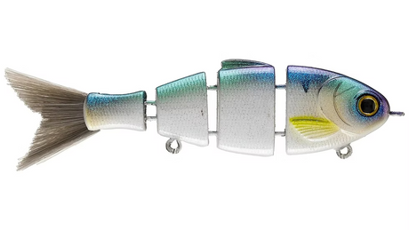 Bucca Lil Baby Bull Shad 2.5in Swimbait