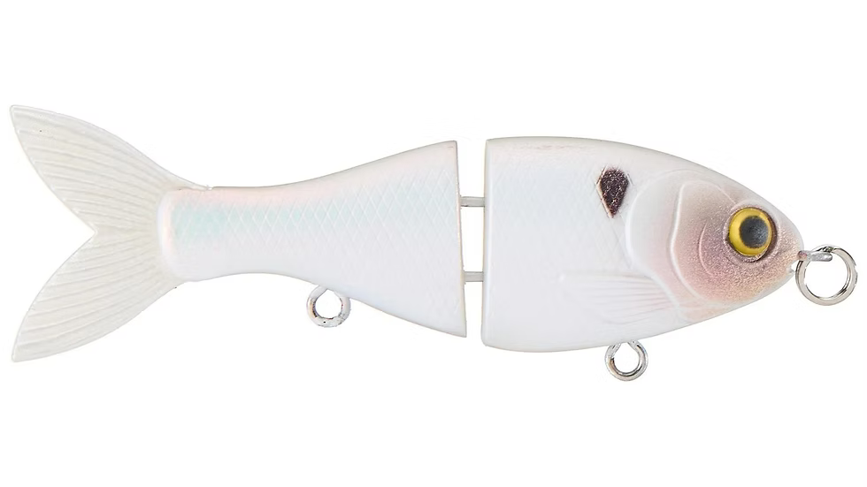 Bucca 2.5in BFS Trick Shad