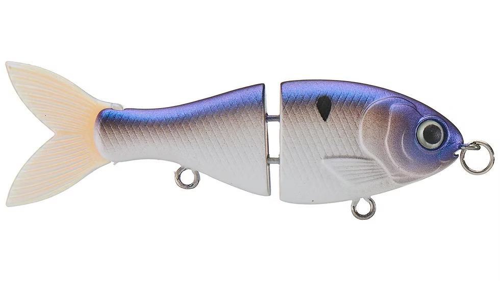 Bucca 2.5in BFS Trick Shad