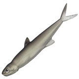 Ever Green Last Ace 168mm 26.5g