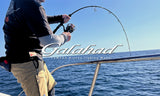 Yamaga Blanks Galahad Jig Rods