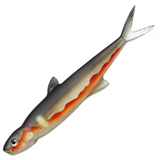 Ever Green Last Ace 168mm 26.5g