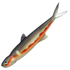 Ever Green Last Ace 168mm 26.5g