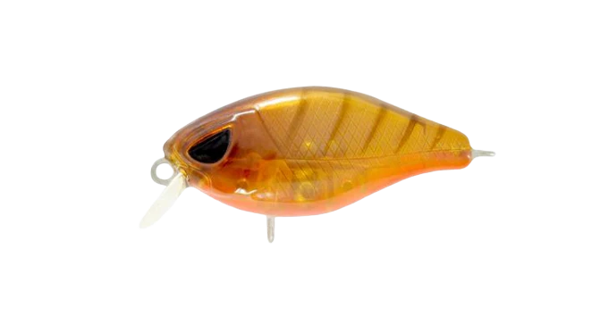 Hurricane Fat 37mm Shallow