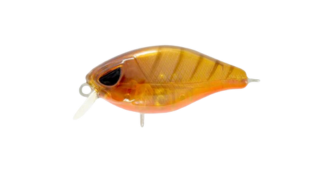 Hurricane Fat 37mm Shallow