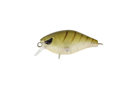 Hurricane Fat 37mm Shallow