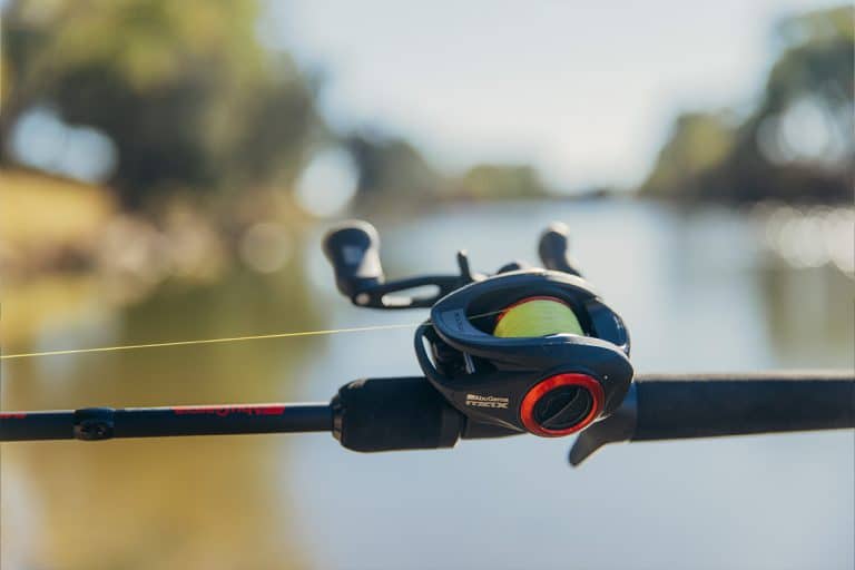 Abu Garcia BMAX5 SX LP Reel