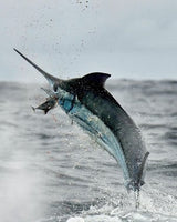 Turner Tackle Ringer Swivels Size 5 Qty 5