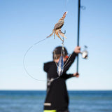 Black Magic Bait Buddy 3 Pack