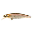 RAINBOW TROUT