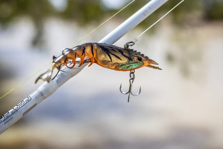 Berkley Shimma Shrimp 85mm