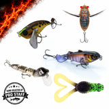 Bass Top Water Lure Bundle
