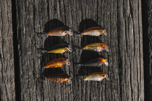 Berkley Pro-Tech Brimz 38mm II Shallow Lure